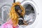 Funny little dachshund wearing maid costume and golden blond wig uploading into the opened washing machine drum laundries for wash