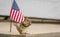 Funny little Eastern Chipmunk stands next to American flag