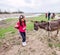 Funny little girl with donkey at nature reserve, domestic animal, spring day