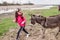 Funny little girl with donkey at nature reserve, domestic animal, spring day