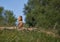 A funny little groundhog standing on its hind legs on a hill in the grass in the steppe.