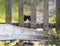 Funny little kitten fearfully peeping from behind an old wooden