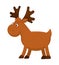 Funny little moose with big branchy horns and small tail