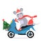 Funny little rat in santa claus costume rides a moped with a christmas tree and a full bag of gifts