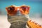 Funny lizard with orange sunglasses at beach