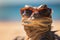 Funny lizard with sunglasses at beach