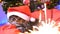 Funny Maine Coon cat as Santa Claus wears christmas cap sits on the pillow at a beautiful new year decorated tree and