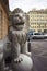 Funny marble smiling lion with ball statue