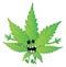 Funny marijuana leaf