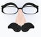 Funny mask. eyebrow, glasses, nose and mustache