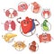 Funny medical icons of organs, heart, lungs, stomach. Set of round avatars cartoon characters of internal organs. Vector