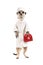 Funny meerkat doctor in a white coat and a first aid kit