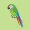 Funny military macaw parrot cartoon style