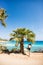 Funny Moment. Woman Standing on One Leg under Palm Tree on Mediterranean Beach