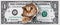 Funny money one cat dollar design