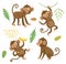 Funny monkeys. Set of vector characters.