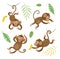 funny monkeys. Set of vector characters.