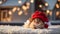 funny mouse santa hat beautiful fluffy december winter festive