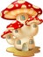 Funny Mushroom House Cartoon