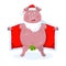 A funny naked boar in Santa`s costume. New Year`s vector.