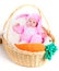 Funny newborn baby dressed in Easter bunny suit