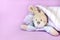 Funny newborn baby toys, teddy hare peeking out from under towel after shower on pink background. Copy space, flat lay, top view