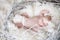 Funny newborn baby with white feather in nest. Portrait of adora