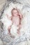 Funny newborn baby with white feather in nest. Portrait of adora