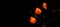 Funny orange figurines for Halloween on black background. Holidays in the Time of COVID. Creative copy space