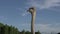 Funny ostrich with big eyes on the background of the sky