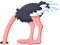 Funny ostrich cartoon