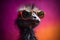 Funny ostrich wearing sunglasses in studio with a colorful and bright background. Generative AI