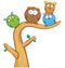 Funny owl group cartoon on tree