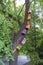 The funny painted birdhouses on the tree. Handmade wooden nesting box