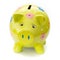 Funny painted ceramic piggy bank