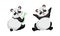 Funny Panda Bear with Black-and-white Coat and Rotund Body Sitting with Bamboo Vector Set