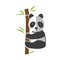 Funny panda bear climbing on bamboo stem, vector illustration