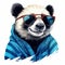 Funny Panda In Blue Sweatshirt With Sunglasses - Colorful Illustration By Andrew Hem