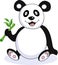 Funny panda cartoon