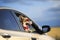 Funny passenger puppy dog red Corgi in the sunscreen glasses quite sticks out his face with his tongue out of the car window and