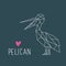 Funny Pelican illustration in geometric style with lettering.