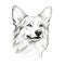 funny Pembroke Welsh Corgi Dog ai generated