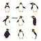 Funny Penguin as Aquatic Flightless Bird with Flippers Waddling and Standing Vector Set