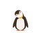 A Funny Penguin Toon Is Tilting His Heard With White Background vector