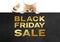 Funny pet puppy cat showing black friday sale golden text written on black placard, isolated on white background