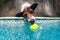 Funny photo of jack russell terrier in swimming pool