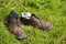 Funny picture -dirty old shoes over green grass