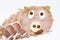 funny pig\\\'s face made from a pork salami, cheese, bay leaves and black pepper