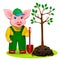 Funny piggy gardener planting a tree in the spring