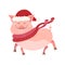 Funny Piggy symbol 2019 new year. Pig in Hew Year hat and with warm red scarf. It is dressed in winter clothes